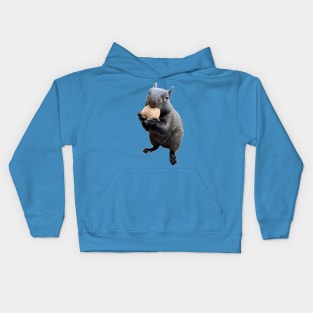 Black Squirrel Eating Walnut Kids Hoodie